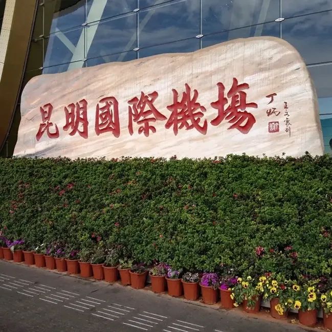 1736150736975651.jpg 2.jpg